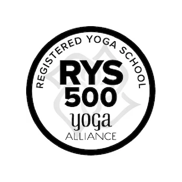 VYN 500